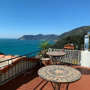 Gasthof Dreams, Corniglia